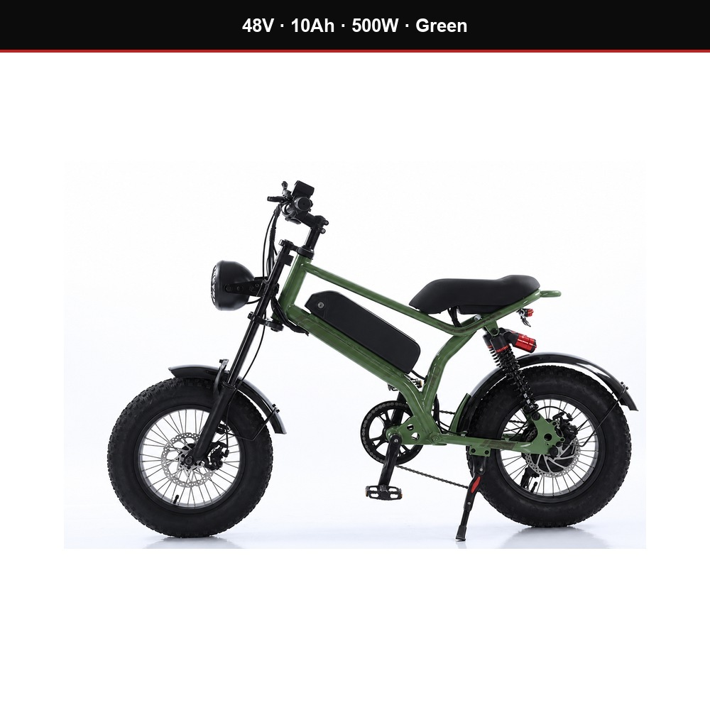 48V 10Ah 500W Green