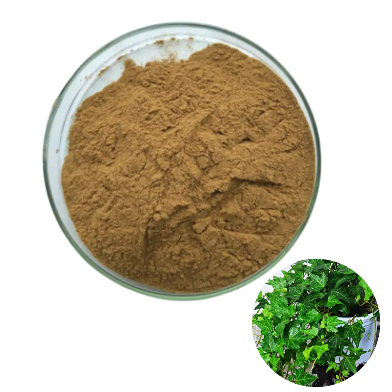 Fornitura estratto di foglie di edera naturale puro 10:1 estratto di Hedera Helix polvere di foglie di edera 10% Hederacosides c
