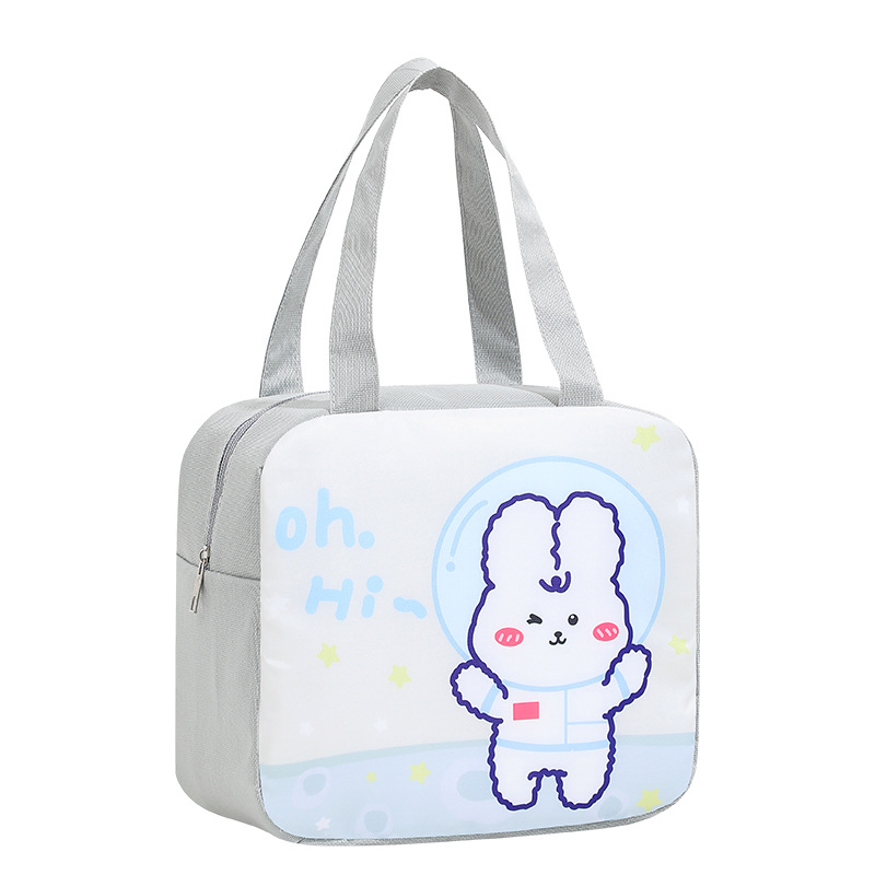 Lapin de l'espace gris clair