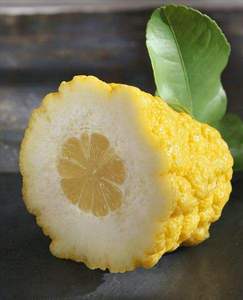 Natural free sample <strong>fructus</strong> citri sarcodactylis extract/citron fruit extract - Product Image 2