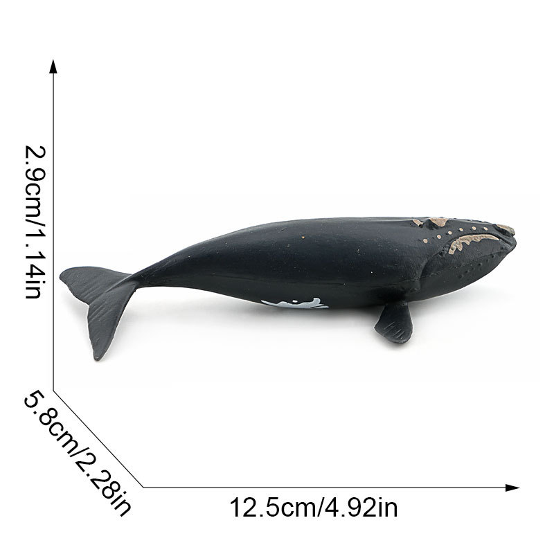 3900 humpback whale-482g