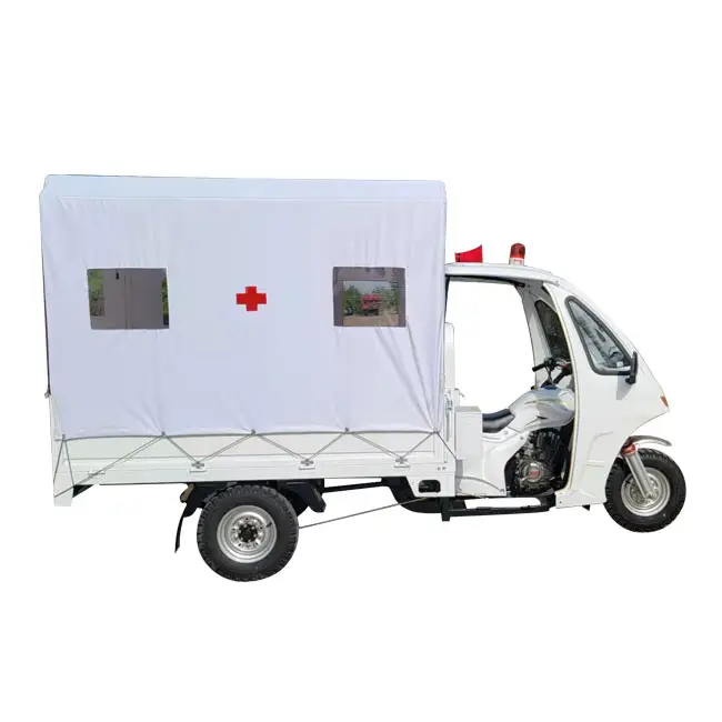 Nuova bici a tre ruote motorizzata Cargo 200Cc ambulanza triciclo aperto 3 ruote Reverse Trike