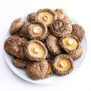 HALAL乾燥シイタケキノコLentinusEdodes乾燥シイタケ