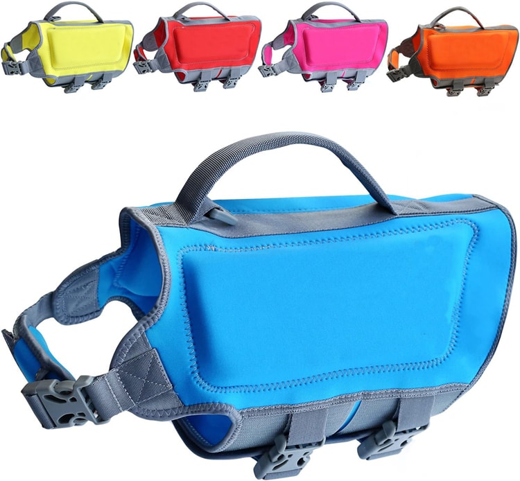 dog life jacket 12