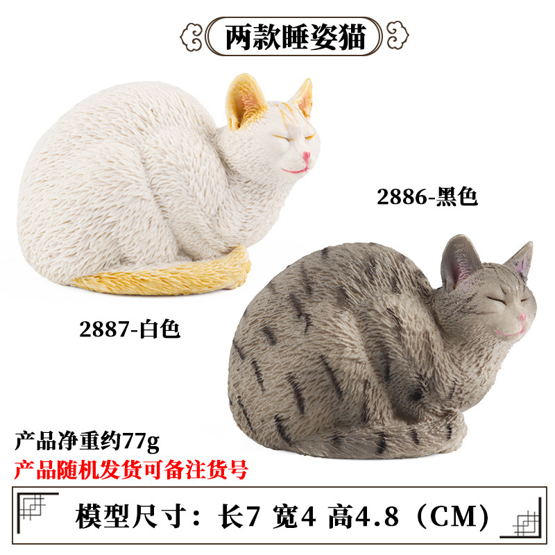 Chat endormi (1 couleur aléatoire sur 2)
