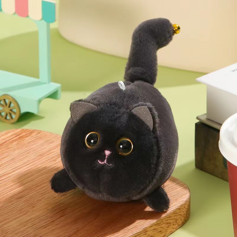 black wagging tail kitten