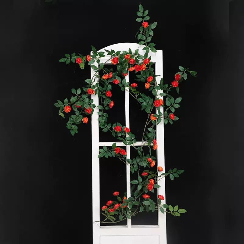 Rose coréenne - Orange-Rouge