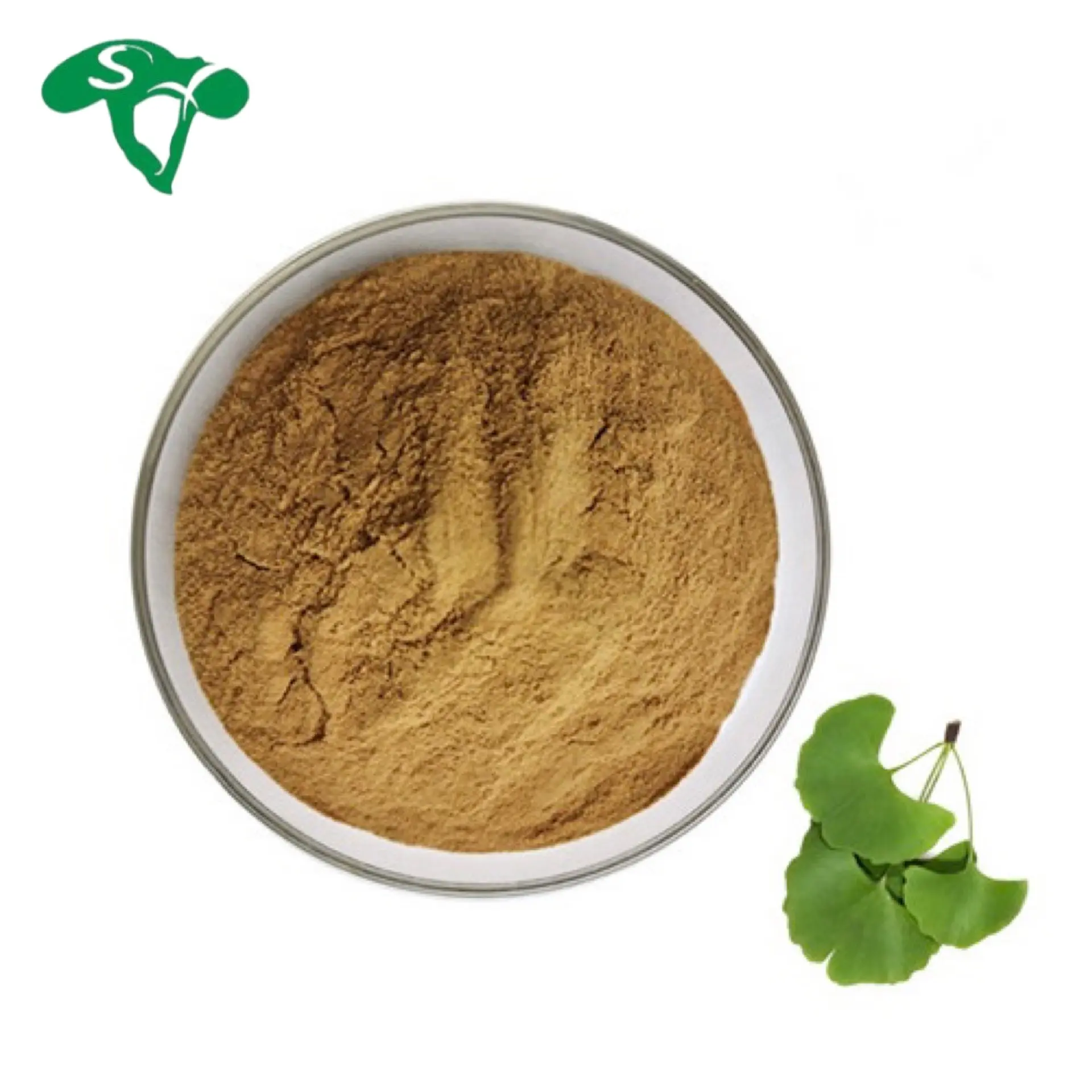 Estratto di foglie di Ginkgo in polvere 24% flavoni 6% lattoni estratto di Ginkgo Biloba