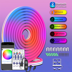 5V Full-Color Running Horse Flexibler Neonlicht streifen mit LED-USB-Schnitts telle für bunte Musik für Bluetooth APP DIY Design
