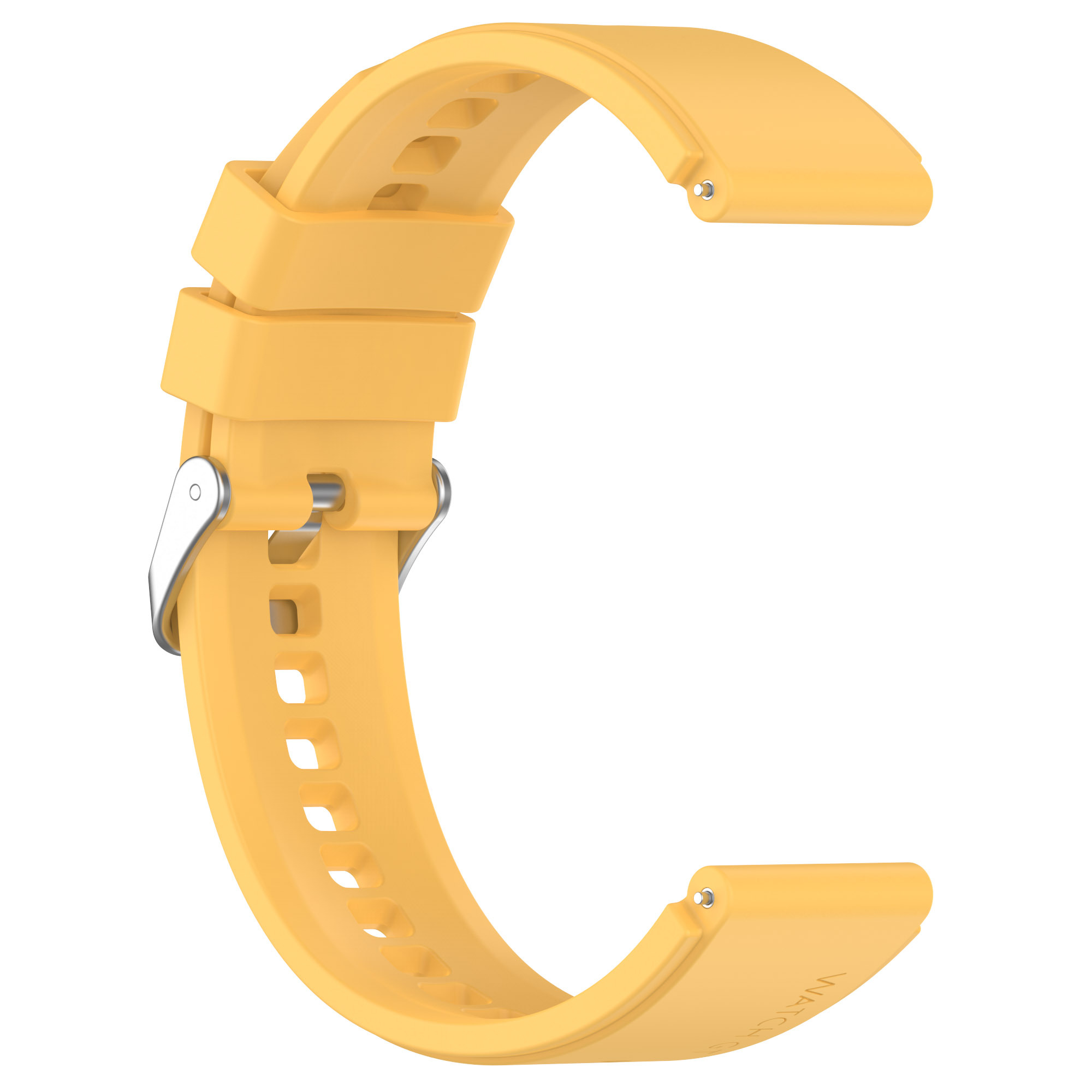 Fibbia giallo-argento vivace