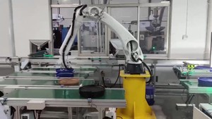 Industrieller 4-6-Achsen-Hochgeschwindigkeitsroboterarm mit motoriger SPS für Pick Place Xis-Roboterarm-Laden/Entladen von Palet tieren - Product Image 5