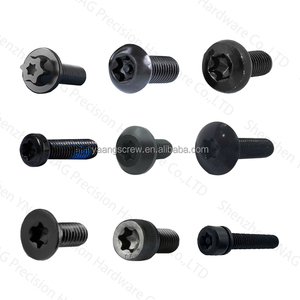 M1 M1.2 M1.4 M1.6 M1.8M2なべ頭トルクスステンレス鋼ミニネジ - Product Image 2