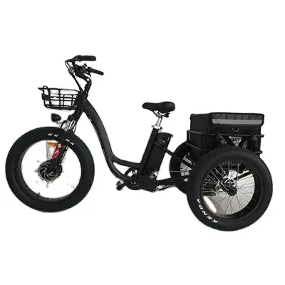 고성능 장거리 48V 500W 3 바퀴 전기 Trike 전기 화물 자전거 세발자전거