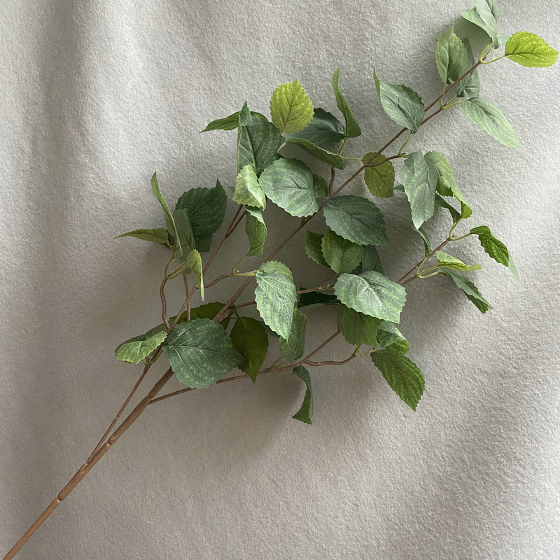 Blanc Vert