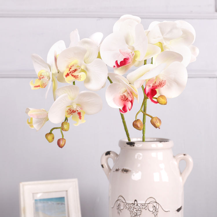 ขาว+เหลือง