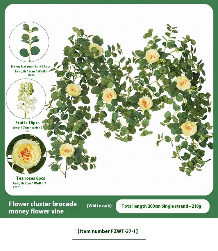 Flower cluster brocademoney flower vine