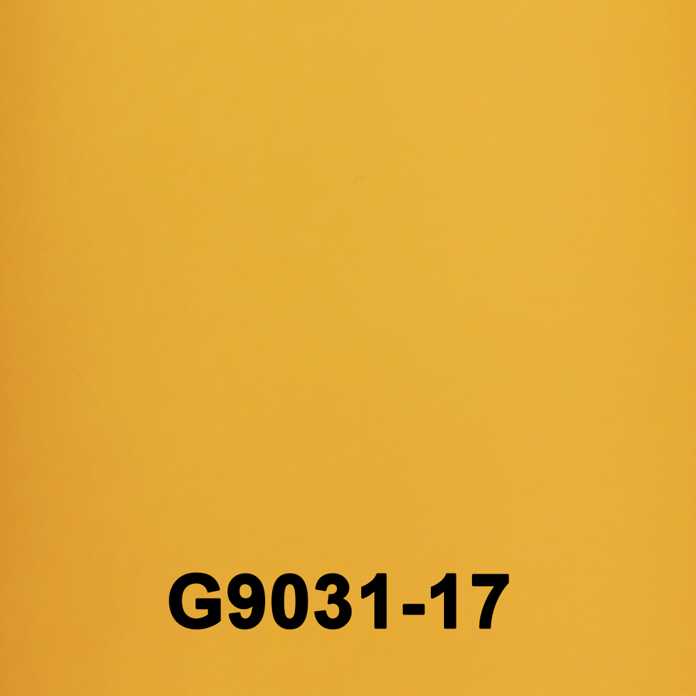 G9031-17