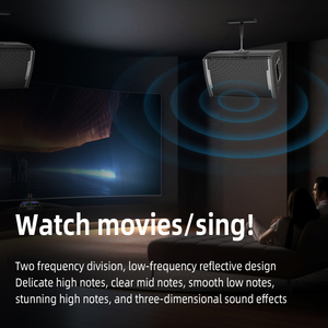 Hiệu Suất Sân Khấu Chuyên Nghiệp Toàn Bộ Loa Karaoke Cho Rạp Hát Tại Nhà 8 Inch 10 Inch 12 Inch Rõ Ràng Thanh Karaoke Âm Thanh Thiết Lập - Product Image 5