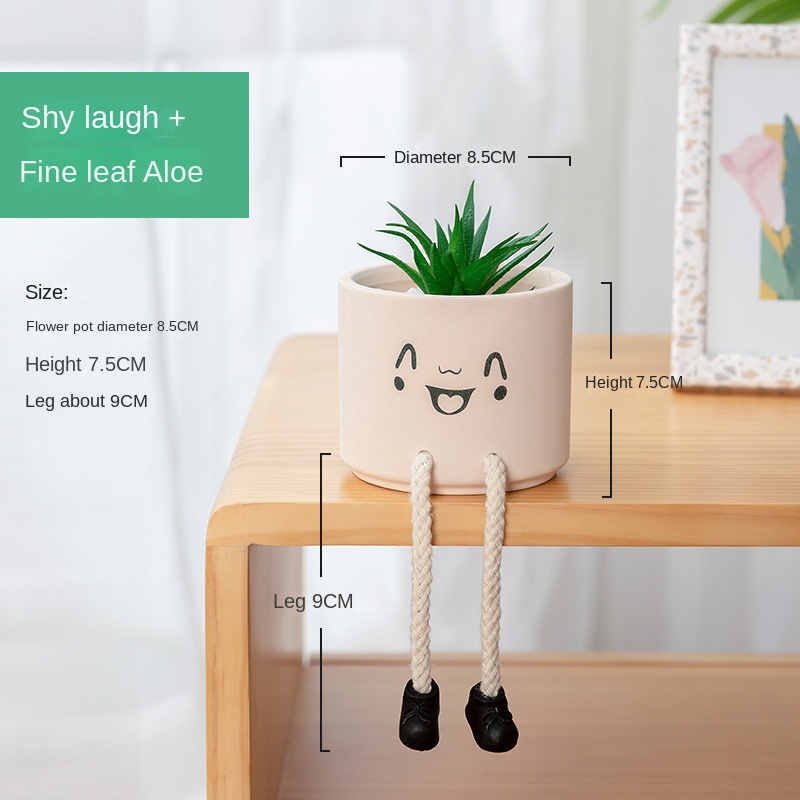 Shy Smile + Simulazione Aloe a Foglia Fine