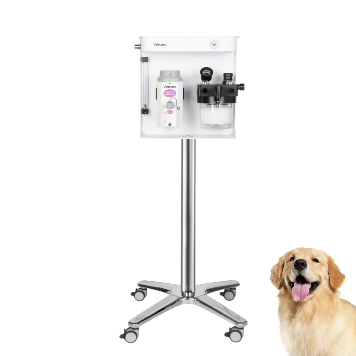 Máquina de anestesia de gas para mascotas pequeñas, gatos, perros, conejos, ratas, con 3 tipos de vaporizadores, Clínica de mascotas y uso en hospitales de animales
