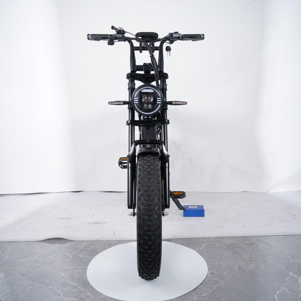 Black Electric Bike V60 Fatbike