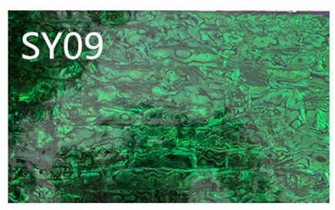 SY09