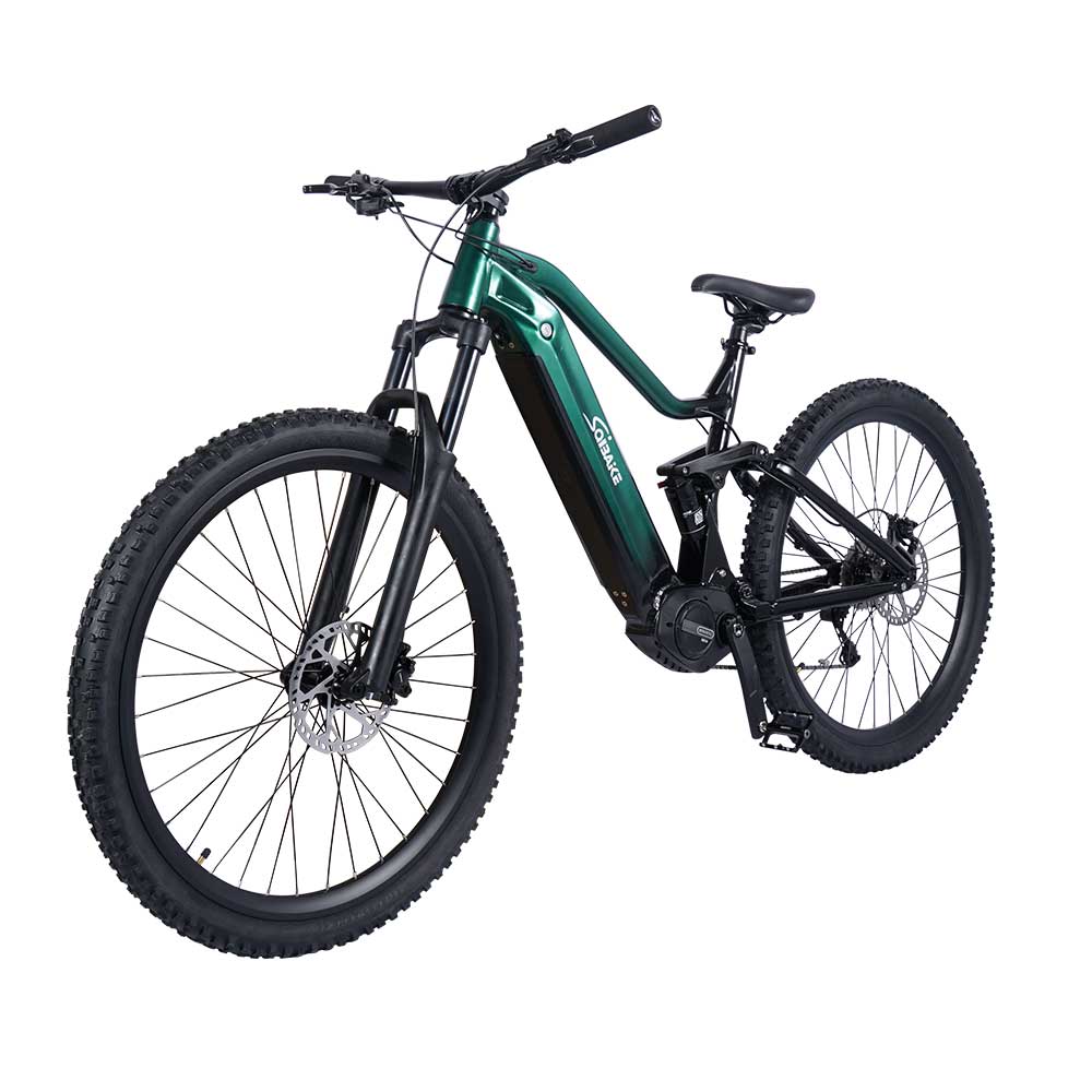 Green e-MTB