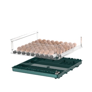 2022新しいデザイン自動温度湿度制御卵インキュベーター小容量10個の卵 - Product Image 2