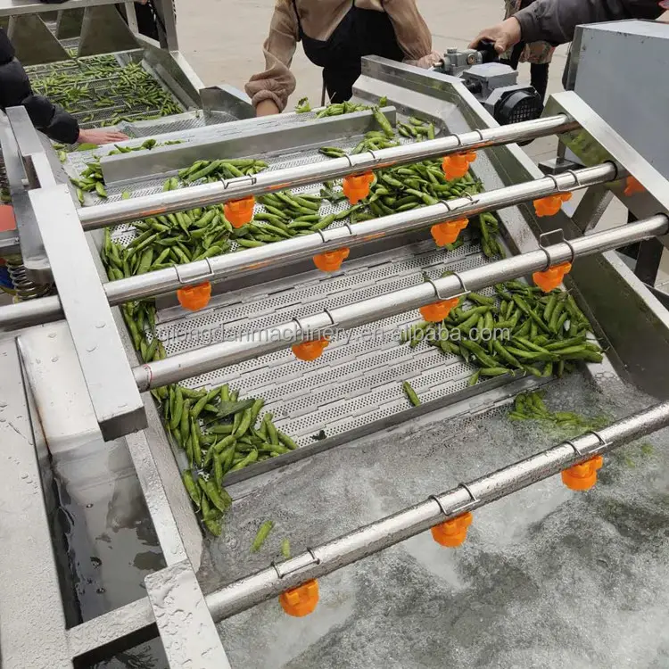 Macchina per la pulizia della frutta lattuga sedano cavolo spinaci prezzemolo foglia di oliva verdura e frutta linea di lavaggio prezzo in vendita