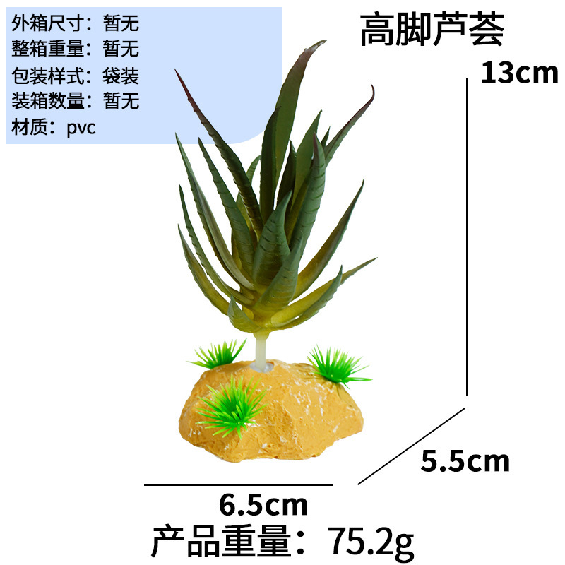 Aloe vera a stelo alto
