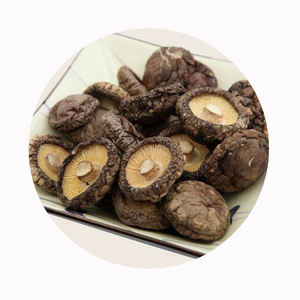 Cao cấp Hữu Cơ trồng khô <span class=keywords><strong>Shiitake</strong></span> Hoa NấM (donko) | 3-4cm dày cap nứt bề mặt | Top Grade cho món quà cho người sành ăn - Product Image 4