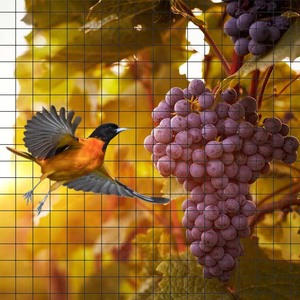 Rete di protezione Anti uccello giardino reticolato piantine fiori alberi da frutto ortaggi rete di recinzione da uccello cervo - Product Image 6