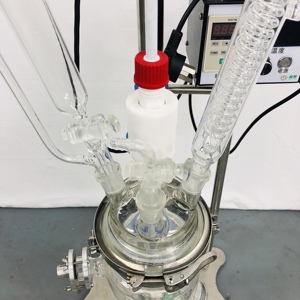 Mini Reactor Manufacturer Direct Selling Fast Delivery 500ml Mixing &amp; Stirring &amp; Evaporation &amp; Reflux Jacketed Glass Reactor