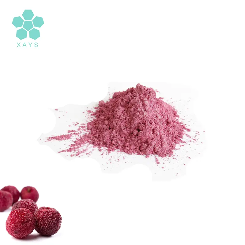 Nature Organic Soluble en agua Liofilizado Chino Bayberry Fruit Wax Myrtle 99% Extracto en polvo