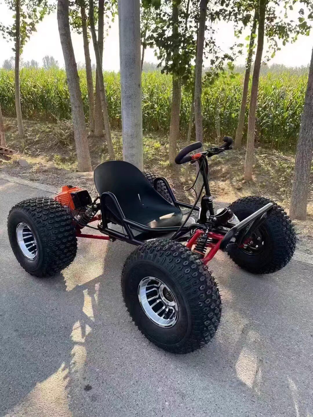 10 inch-black and red-fuel version-load 200kg