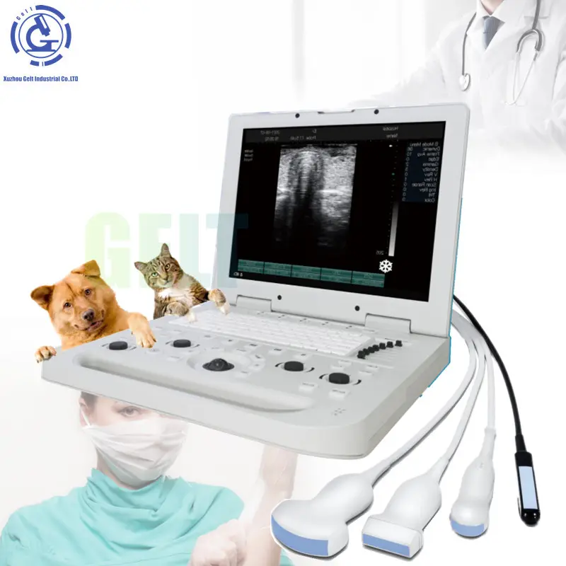 CE vet ultrasound medical ultrasonic for animals laptop Doppler ultrasound veterinary