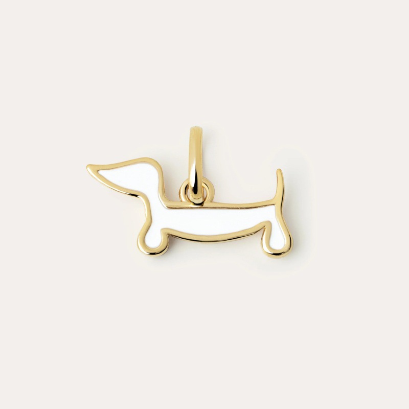 Perro blanco dorado