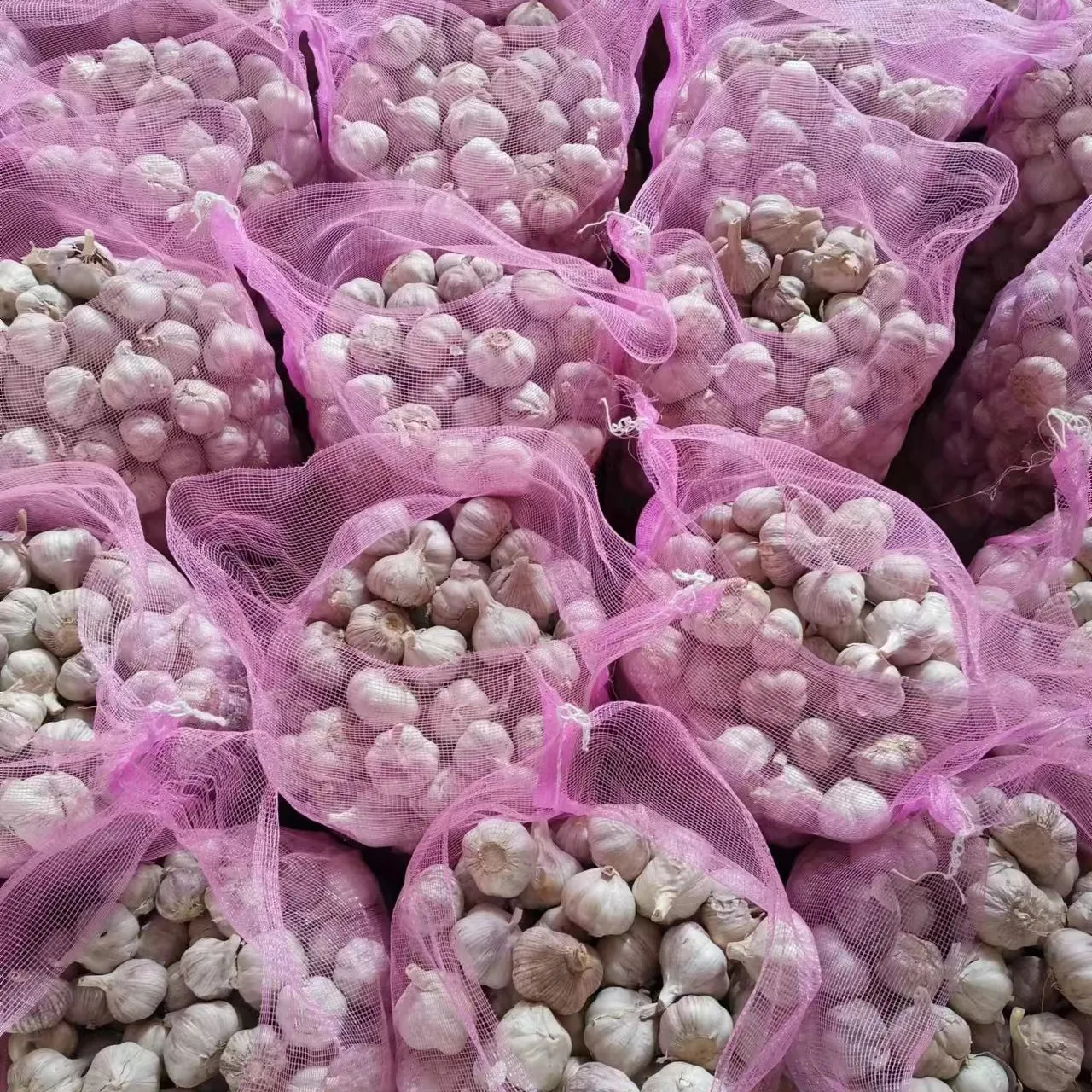 2023 elephant garlic narc g1 Chinese fresh white red normal purple pure snow white garlic ajo alho garlic price in China