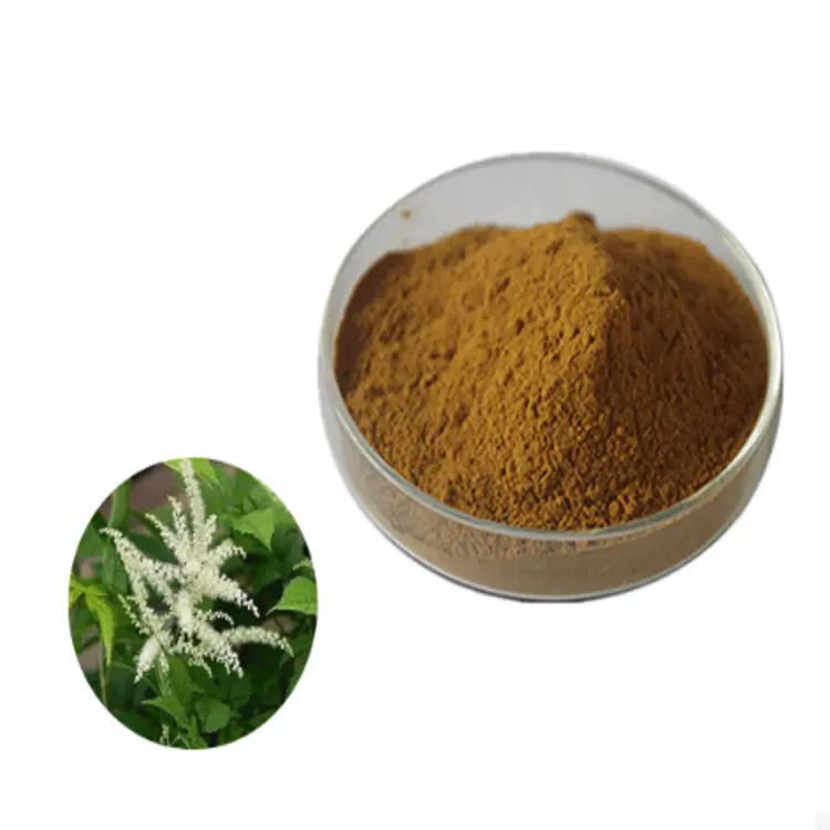 Polvo de extracto de cohosh negro orgánico de alta calidad, saponinas triterpenoides/glucósidos triterpenos 2.5%