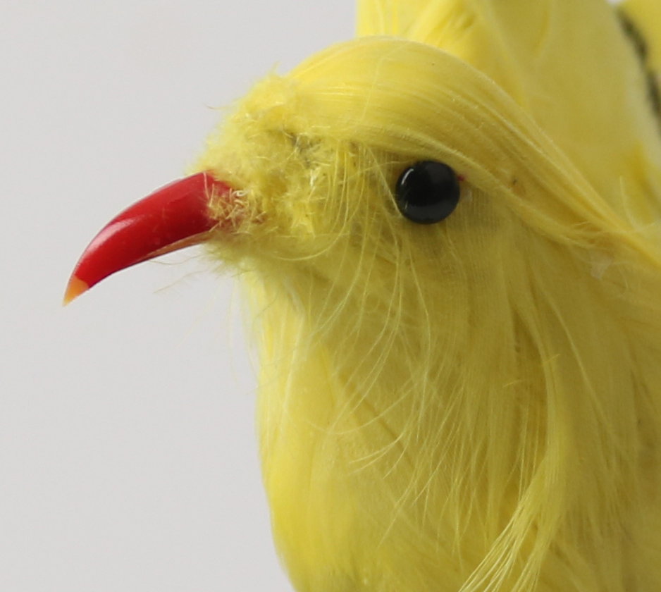 Jaune