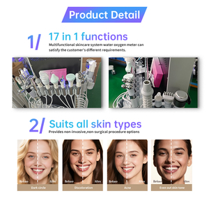 17 en 1 Hydro Beauty Facial Machine Diamant Microdermabrasion Hydra Dermabrasion Machine Hydro Dermabrasion Facial Machine - Product Image 4