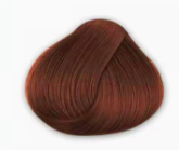 Bronze doré