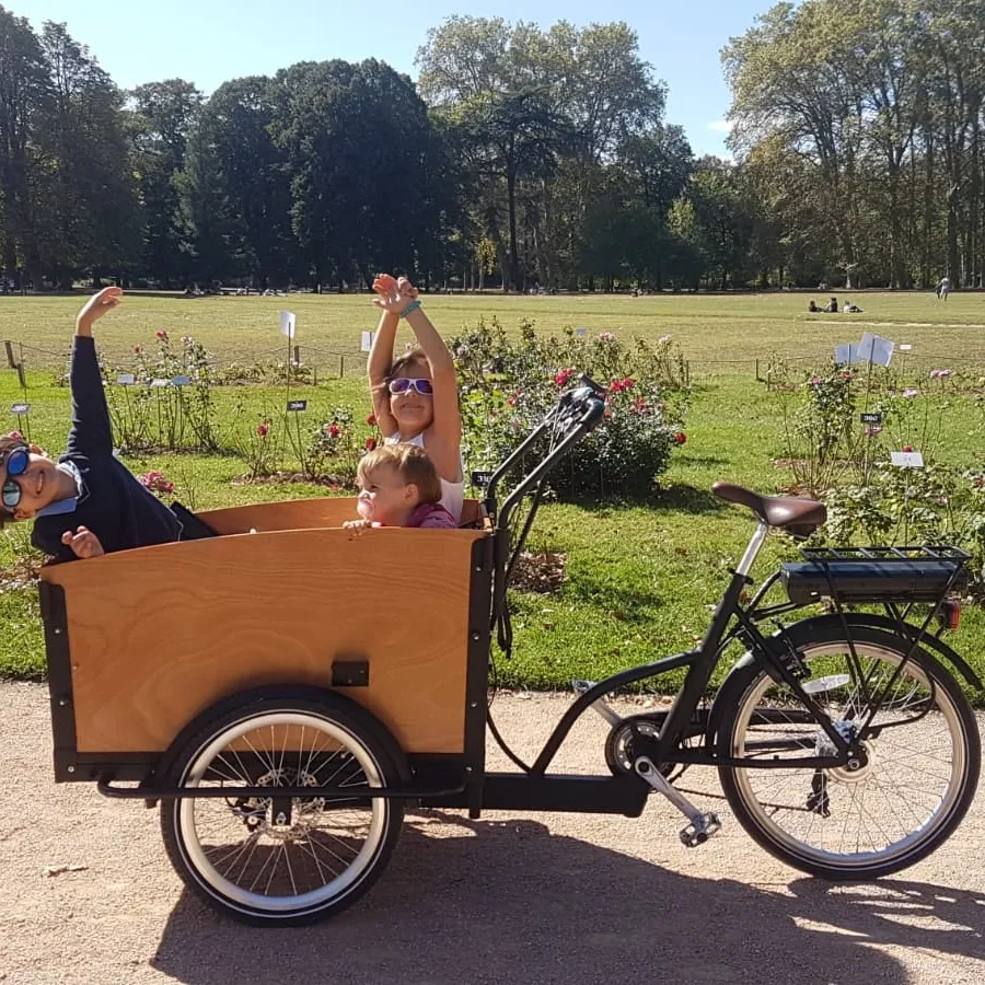 europe stock 3 wheel cargo bike trike with damper city bike family kids balance bike