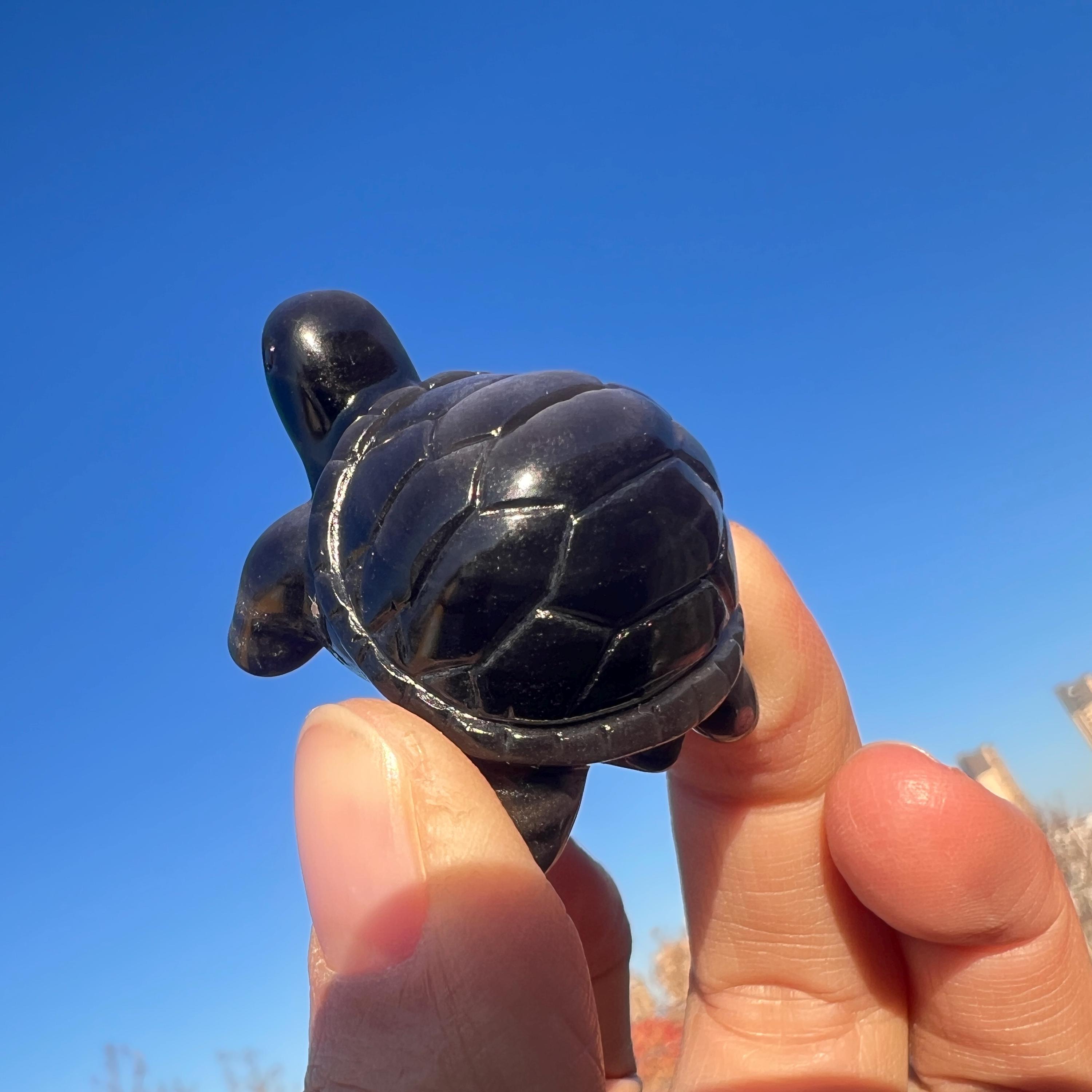 Tortue obsidienne argentée noire