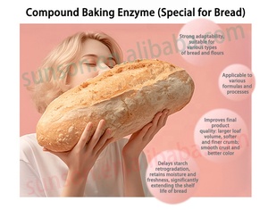 Hỗn hợp Enzyme nướng hợp chất có thể được sử dụng trong chế biến các loại bánh mì khác nhau, cải thiện chất lượng sản phẩm bánh cuối cùng - Product Image 2