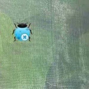 Green PE HDPE Anti-Insect Bulletproof Outdoor Plastic Crop Protector Roll HDPE <span class=keywords><strong>Net</strong></span> com embalagem de serviço corte - Product Image 6