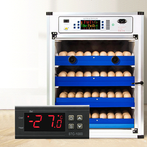 Controlador de temperatura electrónico del termostato digital de 12V CC de para incubadora con refrigeración y calefacción - Product Image 1