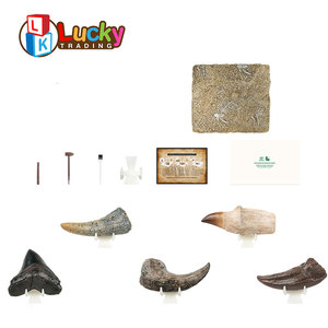 Oyuncak kazmak kiti dinozor fosil madencilik eğitici oyuncak oyun seti kurulu oyunu - Product Image 3