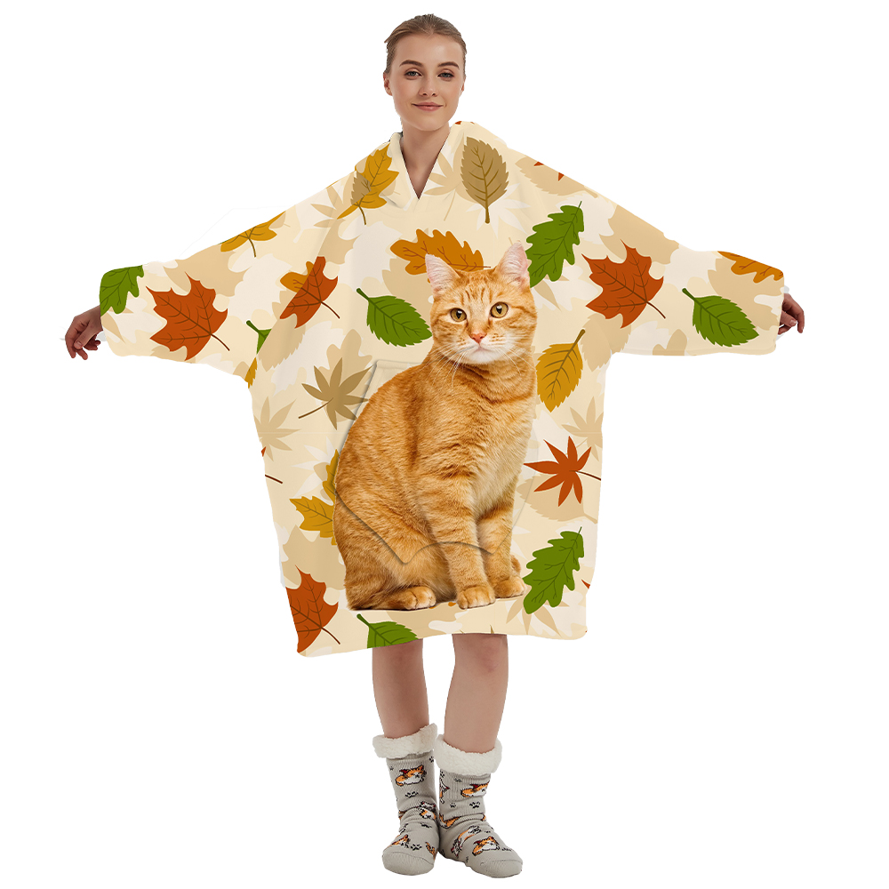 Chat orange