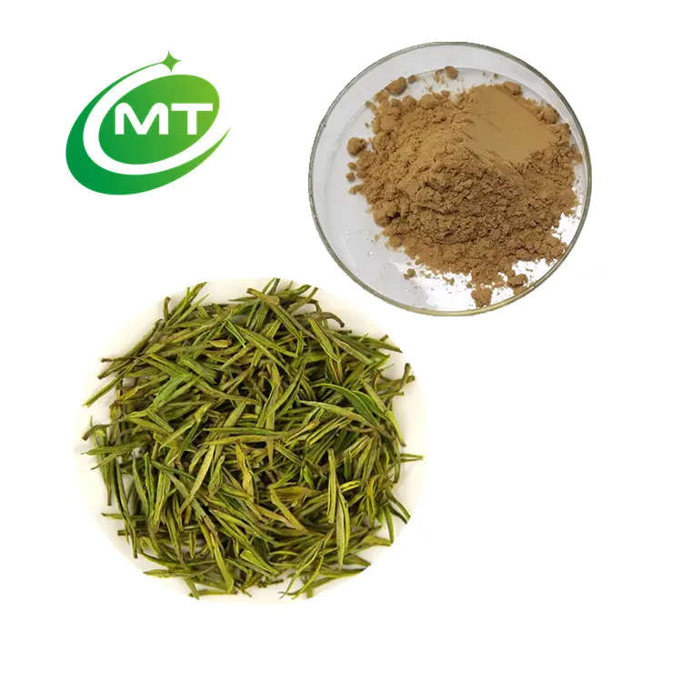 100% naturale puro rifornimento di fabbrica organico 50% EGCG camelia Sinensis polvere estratto di tè verde per perdere peso